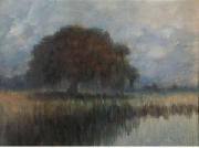 Alexander John Drysdale Oak on the Lower Coast of the Mississippi oil painting artist